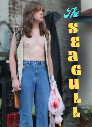 The Seagull